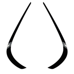 streetautomotivecustom.com